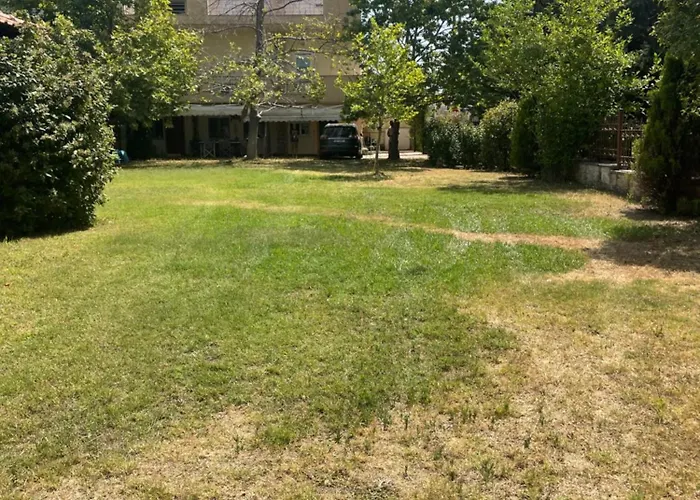 Persephone Potidea *